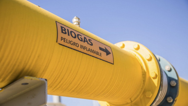 imagen Biogás, una alternativa sustentable para satisfacer la demanda eléctrica a bajo costo