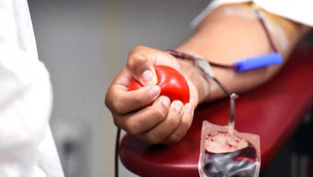 imagen Donación de sangre: continúa un 20% por debajo del promedio 