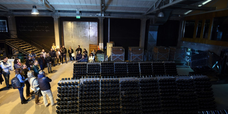 El paro vitivinícola de 48 horas comenzó en Mendoza con cortes en las bodegas