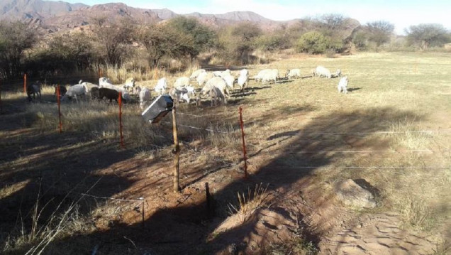 imagen Boyeros solares, un sistema que ya ayuda a familias rurales sin acceso a la red eléctrica