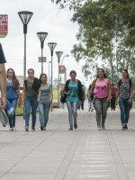 Perfil de jóvenes estudiantes: revalorizan el tiempo y tienen un plan de futuro más acotado