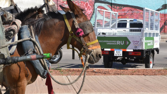 imagen Godoy Cruz "jubila" caballos carreteleros