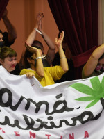 La Confederación Cannábica Argentina celebró la aprobación de la cadena productiva del cannabis medicinal