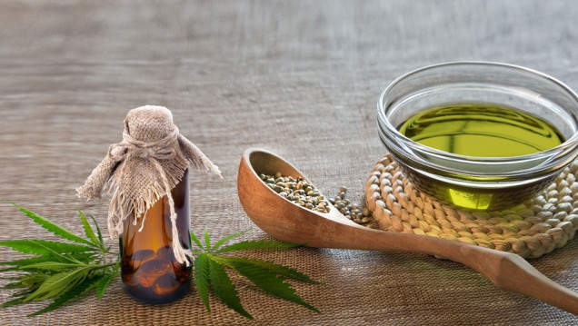 imagen Presentan ley para incorporar al aceite de cannabis al vademécum 