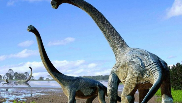 imagen Encuentran huellas de dinosaurios de 66 millones de años de antigüedad en Jujuy