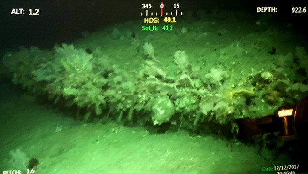 imagen La Armada desmintió que hayan reducido la búsqueda del submarino