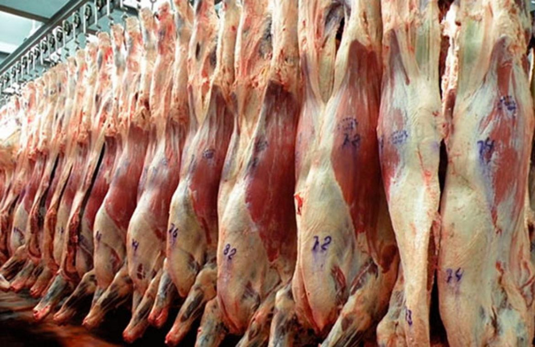 ¿Por qué la exportación de carne creció el 45 % en enero?