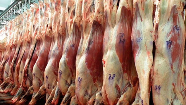 imagen ¿Por qué la exportación de carne creció el 45 % en enero?