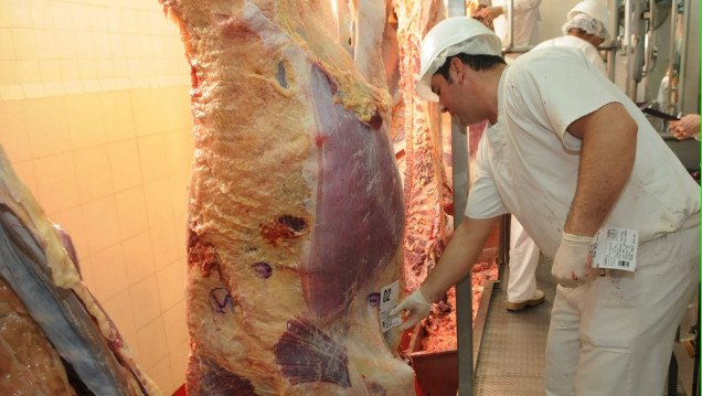 imagen La Unión Europea levantará restricciones para la carne argentina