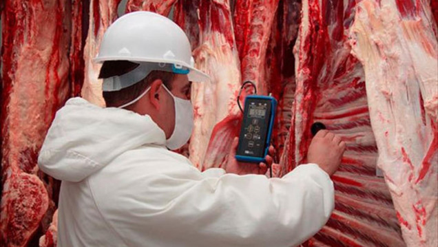 imagen China habilitó a 28 plantas argentinas para exportar carne