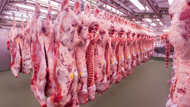 imagen El aumento de la carne podría llegar al 8% en Mendoza