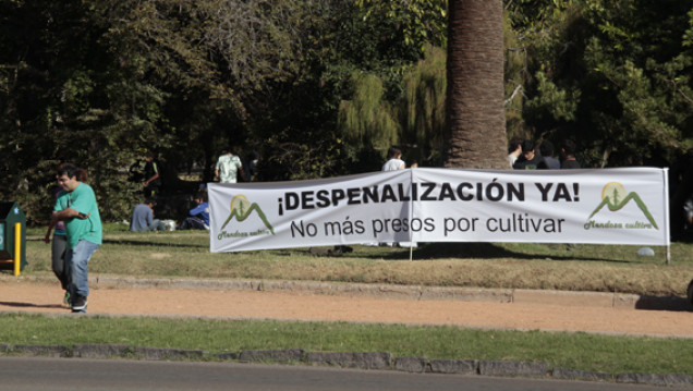 imagen Una multitud se "plantó" por la despenalización del cultivo y consumo de marihuana