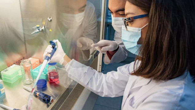 imagen Una paciente se convirtió en la primera donante de células madre en Mendoza
