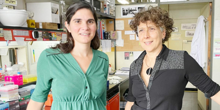 El Conicet abrió una sala virtual dedicada a las mujeres científicas