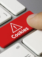 En Argentina, el 42% de las personas acepta "cookies" en sitios web sin saber qué son