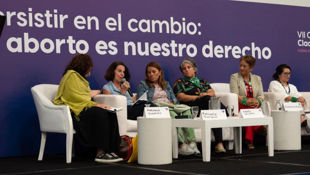 imagen Ley, protocolo e insumos: Argentina se destaca en la región por sus políticas de acceso al aborto