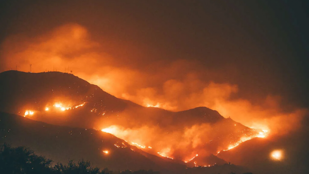 imagen Presupuesto 2025: organizaciones cuestionaron el recorte de partidas para áreas ambientales clave