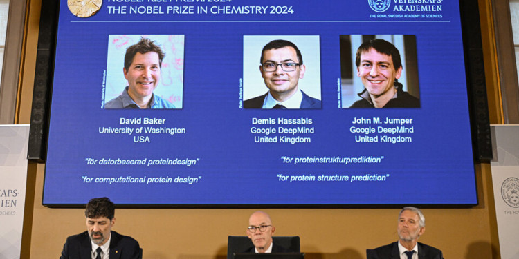 Nobel de Química: especialistas del Conicet analizaron el impacto de los hallazgos en el campo de las proteínas