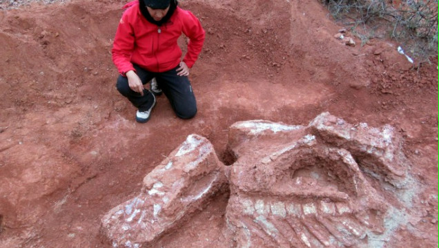 imagen Hallaron en San Juan restos del primer dinosaurio gigante que habitó la Tierra
