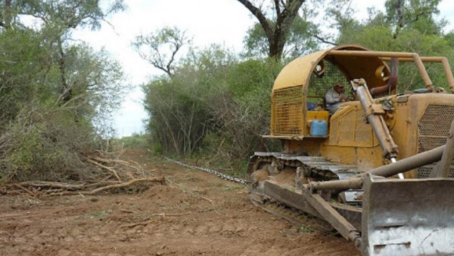 imagen Desmonte: el norte argentino perdió 110 180 hectáreas de bosques nativos