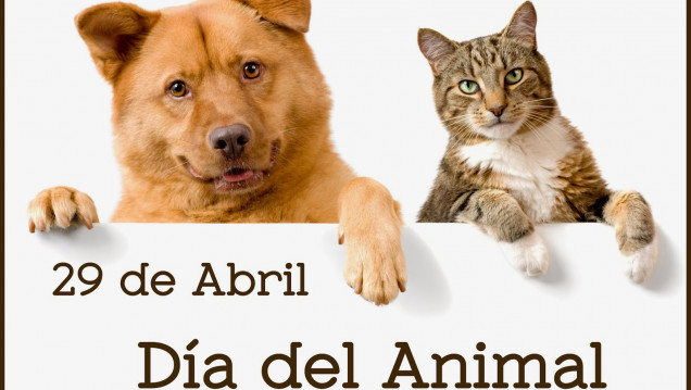 imagen Día del Animal: una agenda cargada de actividades para este sábado