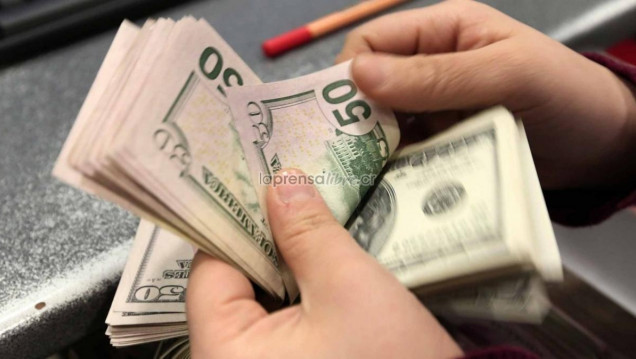 imagen El Banco Central autorizó a los "arbolitos" a comercializar divisas en la vía pública