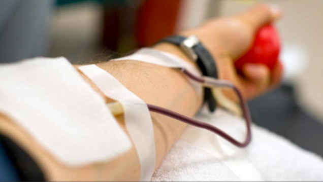 imagen Estiman un aumento de donantes voluntarios de sangre