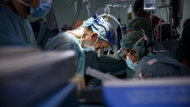 imagen Holanda convirtió a todos sus ciudadanos en donantes de órganos