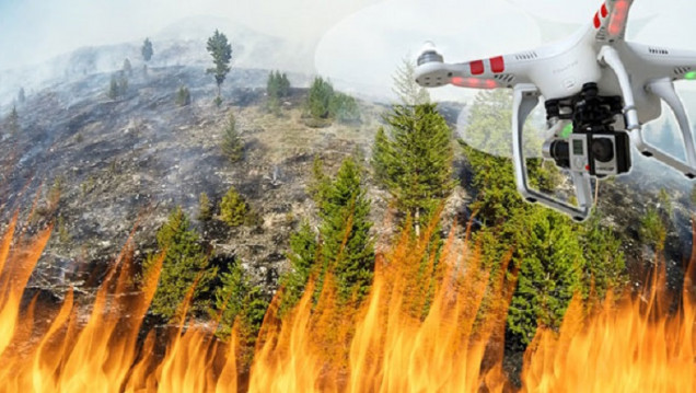 imagen Incendios forestales: ¿serán los drones los futuros guardabosques?