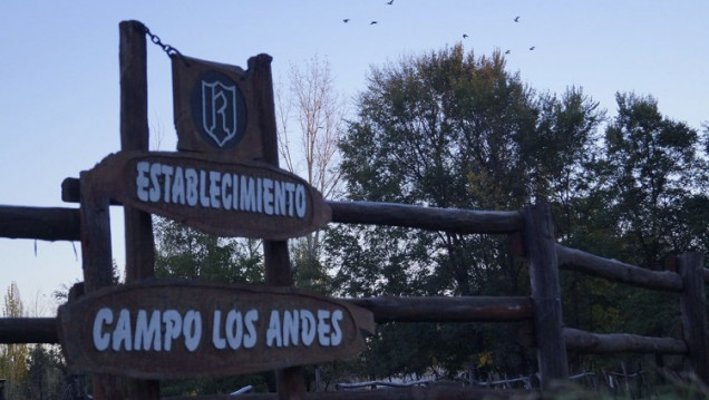 imagen La Nación insiste con la venta de terrenos de La Remonta