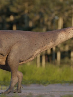Hallaron en Chubut una nueva especie de dinosaurio carnívoro que vivió hace 69 millones de años