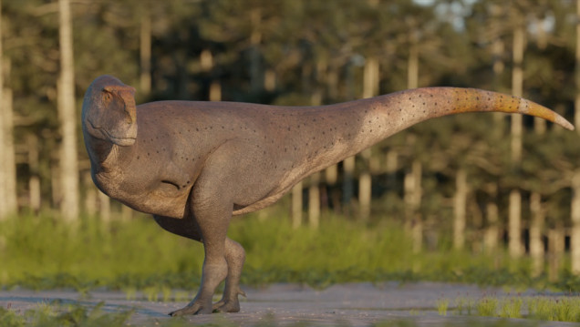imagen Hallaron en Chubut una nueva especie de dinosaurio carnívoro que vivió hace 69 millones de años