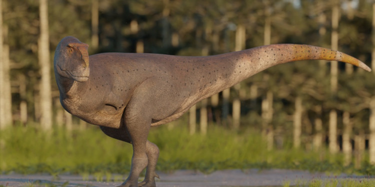 Hallaron en Chubut una nueva especie de dinosaurio carnívoro que vivió hace 69 millones de años
