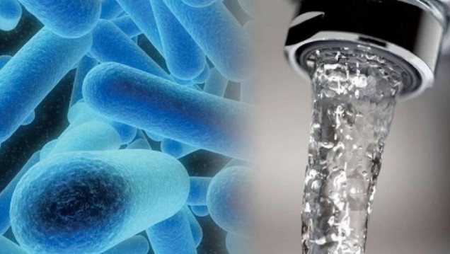 imagen Legionella, la bacteria que obliga a controlar los sistemas de climatización y el agua en hospitales