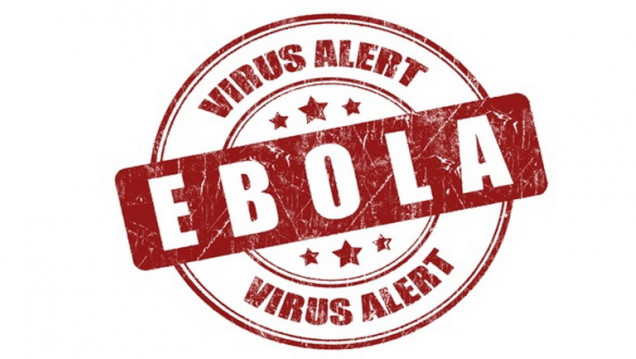 imagen Argentina declaró la alerta epidemiológica por el ébola