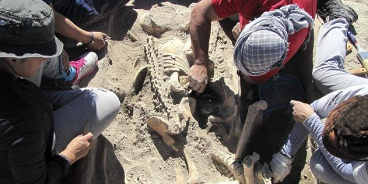 Hallazgo en Malargüe: "toda la zona es muy rica a nivel arqueológico"