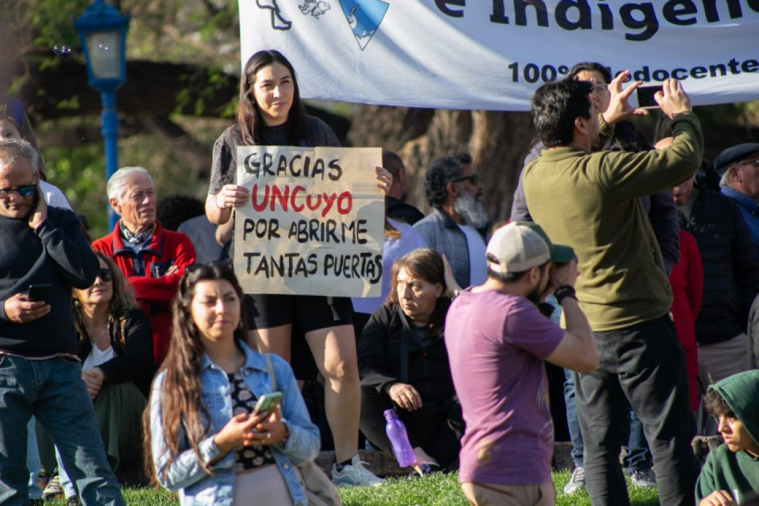 Dicen "auditar" por no decir "desfinanciar" 