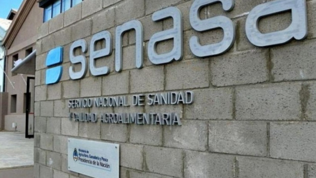 imagen ATE Mendoza en alerta por otros posibles "despidos" en SENASA