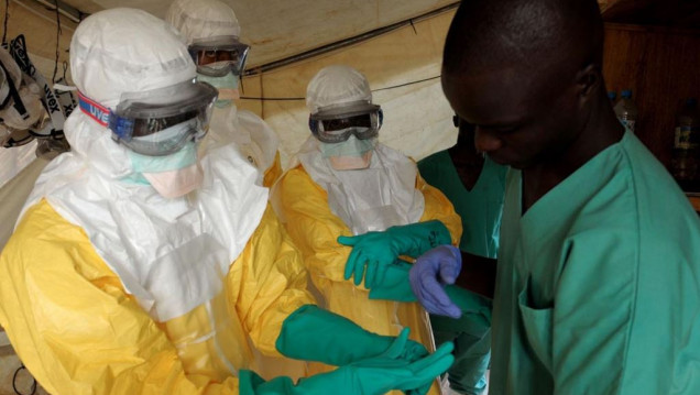 imagen Anunciaron el fin del brote de ébola en África Occidental