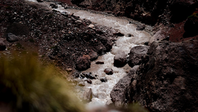 imagen Qué es el Fondo de Agua con que buscan salvaguardar la seguridad hídrica del río Mendoza