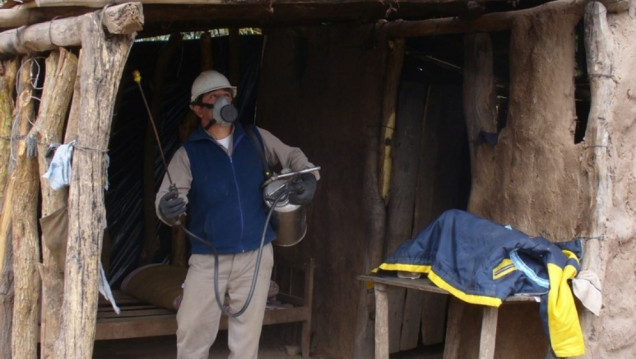 imagen Interrumpen la transmisión humana de la enfermedad de Chagas en un municipio chaqueño