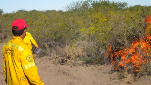 imagen Brigadistas controlaron un incendio forestal en la zona de Villavicencio
