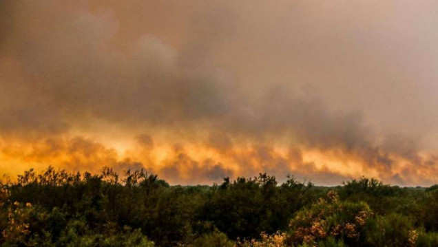 imagen El fuego ya arrasó cerca de cien mil hectáreas en General Alvear 