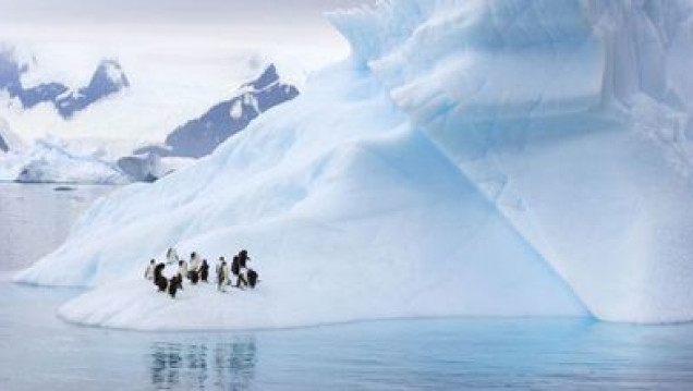 imagen Cómo la reducción de los glaciares antárticos puede causar suba del nivel de océanos