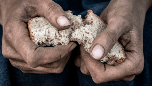 imagen Crisis alimentaria mundial: el hambre afecta a 56,5 millones de personas en Latinoamérica