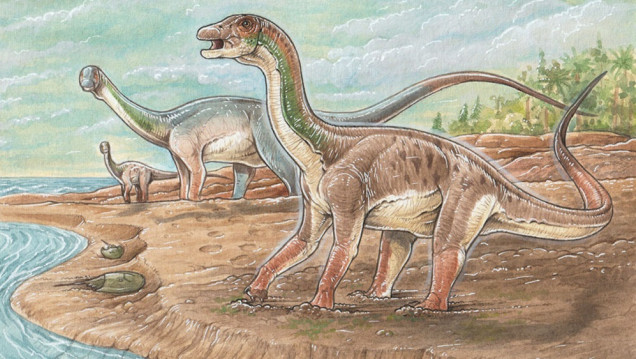 imagen Descubren por primera vez huellas de "patinadas" de dinosaurios de 130 millones de años en Neuquén