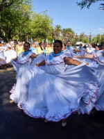 Mendoza y su Vendimia: fotogalería del festejo popular en las calles 