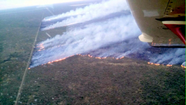 imagen Cornejo declaró la emergencia agropecuaria por los incendios en el Sur