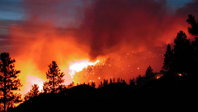 imagen Las llamas ya consumieron más de 37.000 hectáreas en Chile 