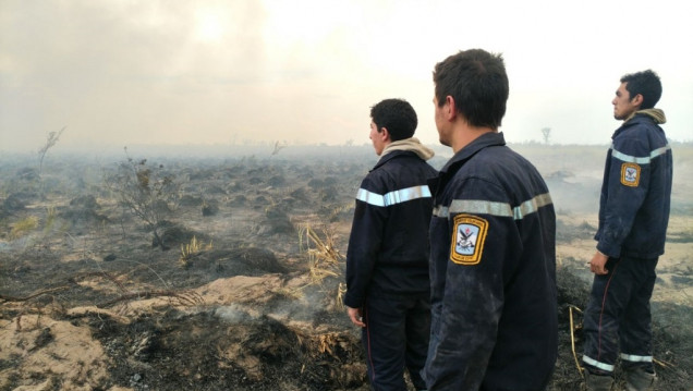 imagen Lograron controlar los incendios en San Rafael y Alvear